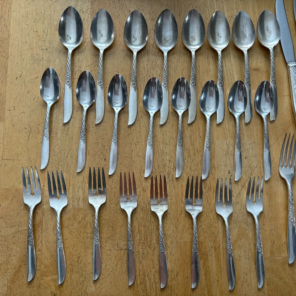 Wm Rogers Oneida Wildwood I Always Silver Plate 8 Place Setting 40 Pieces 1958‎